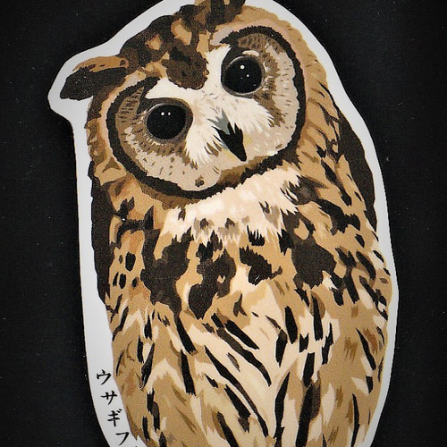 イラストオーダー＋ウサギフクロウミニ色紙 ステッカー2枚セット／ ウサギフクロウ シール・ステッカー 星屋