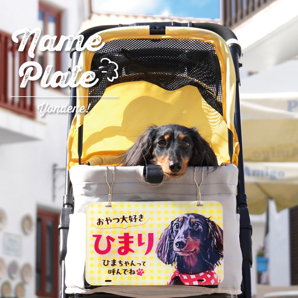 ペット✩犬✩マナーベルトオーダー用 サンプル（確認用）パピヨン 水色 ペット✩犬✩マナーベルトオーダー用 サンプル（確認用