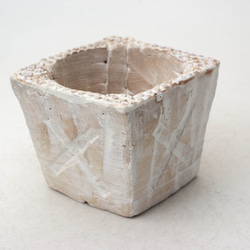 多肉植物の欲しがる植木鉢 2号 24個20%off送料無料 多肉植物の欲しがる植木鉢 NSSS-(2号相当) 24個セット | design &craft