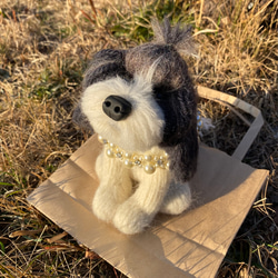 羊毛フェルト【愛犬ぬいぐるみ】オリジナルペット人形 1枚目の画像