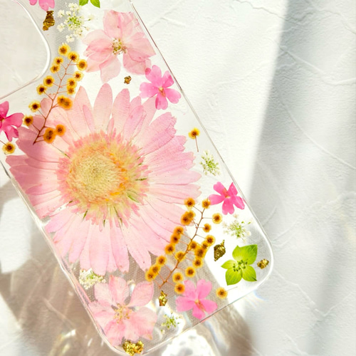 レインボーガーベラの押し花スマホケース iPhone..etc / 秋色ガーベラの 押し花スマホケース 230927_2