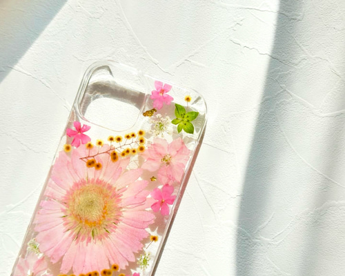 レインボーガーベラの押し花スマホケース レインボーガーベラの押し花スマホケース 全機種対応•iPhone