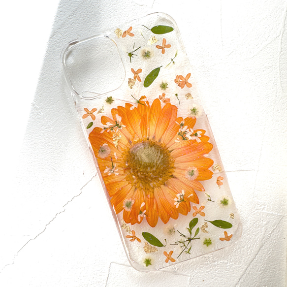 ハルページ⭐︎押し花ケース ガーベラ 押し花スマホケース 押し花iPhoneケース 押し花ケース iPhone