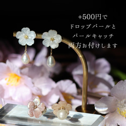 【特集掲載】桜ピアス　シェル　パール　桜 梅 春　ピンク　14kgf 2way パールキャッチ 花 マザーオブパール 9枚目の画像