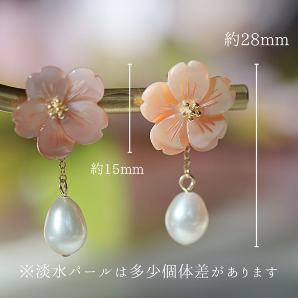 【特集掲載】桜ピアス　シェル　パール　桜 梅 春　ピンク　14kgf 2way パールキャッチ 花 マザーオブパール 6枚目の画像