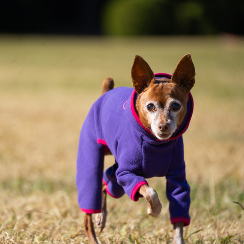 ミニピン 犬服 名前】フーディ フリース ロンパース（PURPLE×PINK