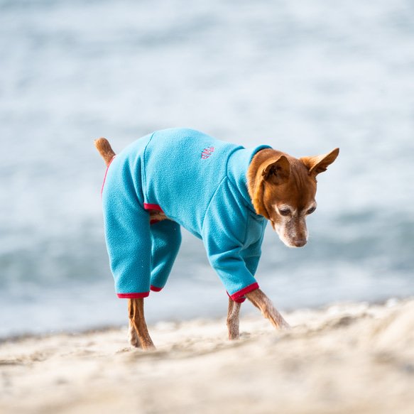 【ミニピン 犬服 名前】ハイネック フリース ロンパース（BLUE×RED） 7枚目の画像