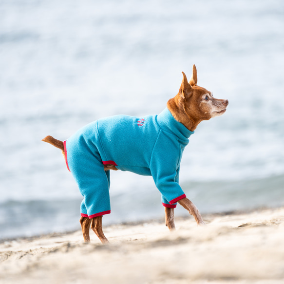 【ミニピン 犬服 名前】ハイネック フリース ロンパース（BLUE×RED） 6枚目の画像
