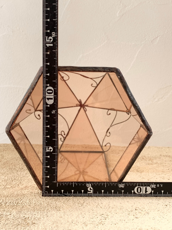 六角テラリウム 4枚目の画像