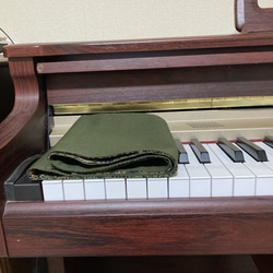 88鍵ピアノ・電子ピアノ鍵盤カバー/「いちご泥棒」黒×緑使用 9枚目の画像