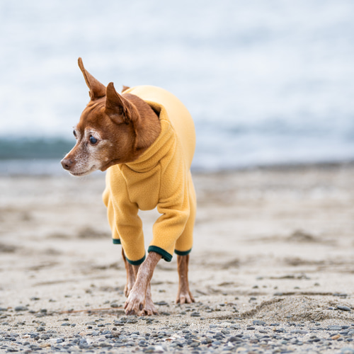 ミニピン 犬服 名前】ハイネック フリース ロンパース（YELLOW×GREEN