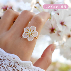 【特集掲載】桜[河津桜]リング　(受注生産/オーガンジー刺繍/春/花/フラワー/お花見/サクラ/カワヅザクラ/プレゼント 7枚目の画像