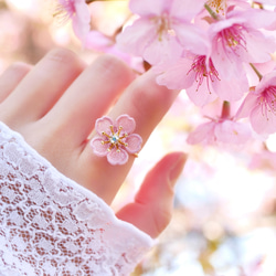 特集掲載】桜[河津桜]リング (受注生産/オーガンジー刺繍/春/花
