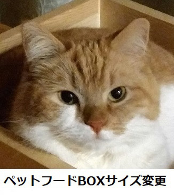 ペットフードBOXサイズ変更 1枚目の画像