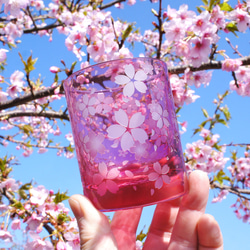 桜舞吹雪（希薄） 11枚目の画像