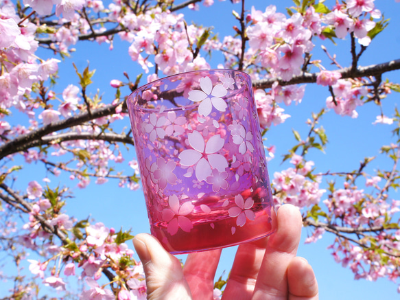 桜舞吹雪（希薄） 11枚目の画像