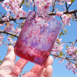 桜舞吹雪（希薄） 10枚目の画像