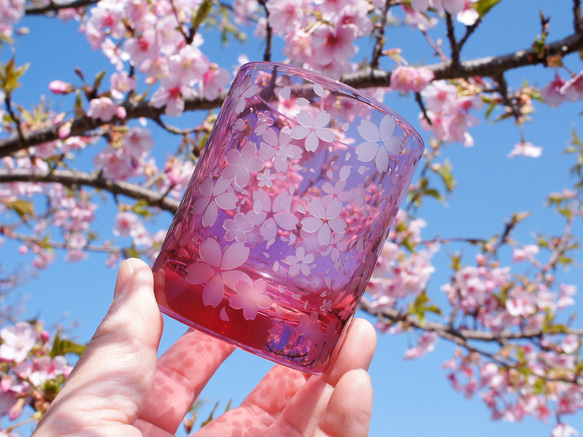 桜舞吹雪（希薄） 10枚目の画像