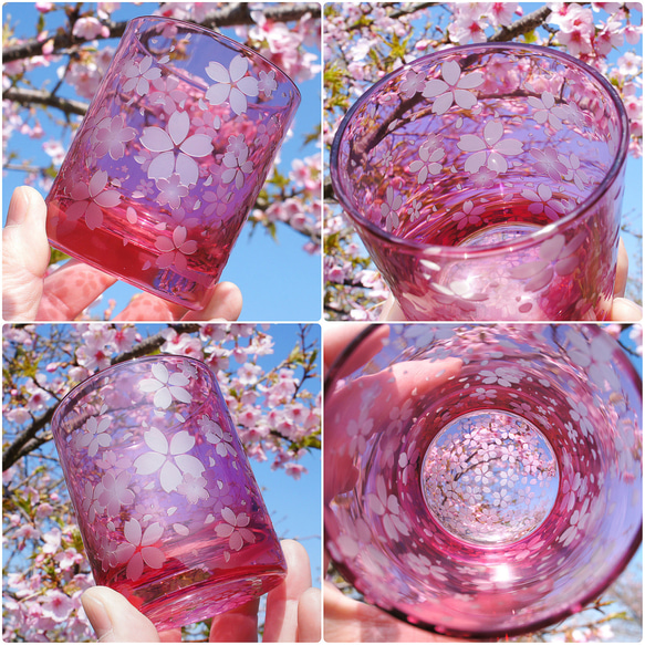 桜舞吹雪（希薄） 12枚目の画像