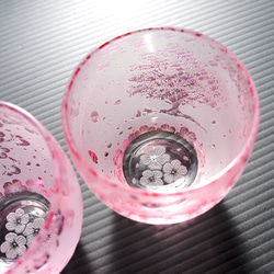 一本桜の猫物語お猪口 7枚目の画像