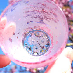 一本桜の猫物語お猪口 3枚目の画像