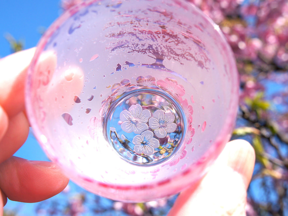 一本桜の猫物語お猪口 3枚目の画像