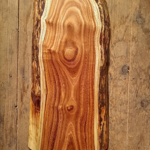 木製看板製作】 槐 28cm×50cm厚み4.6cm / 一枚板看板 表札・ネーム