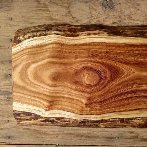 木製看板製作】 槐 28cm×50cm厚み4.6cm / 一枚板看板 表札・ネーム