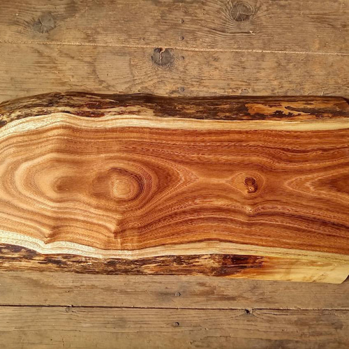 木製看板製作】 槐 28cm×50cm厚み4.6cm / 一枚板看板 表札・ネーム