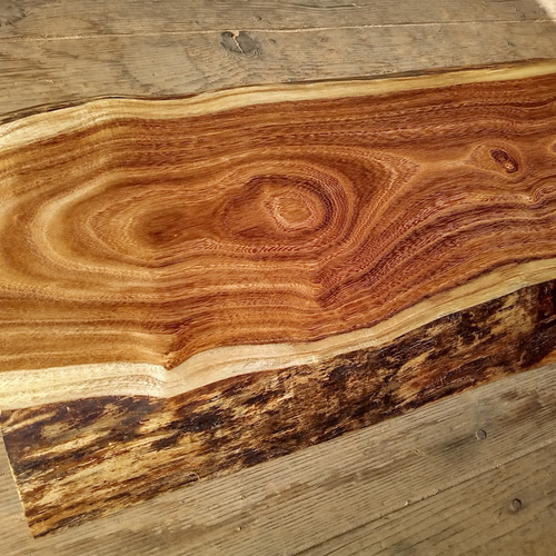 槐　一枚板 槐（エンジュ）一枚板 - 新発田屋 木材倉庫