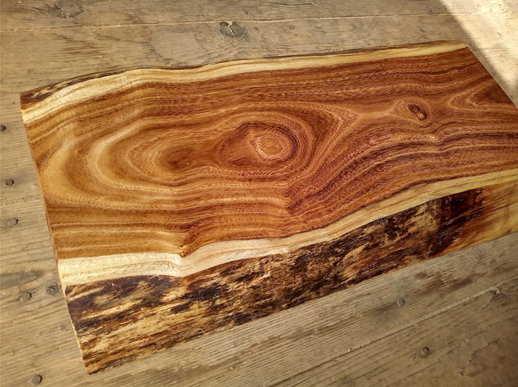 【木製看板製作】 槐 28cm×50cm厚み4.6cm / 一枚板看板 28cm×50cm厚み4 6cm エンジュ