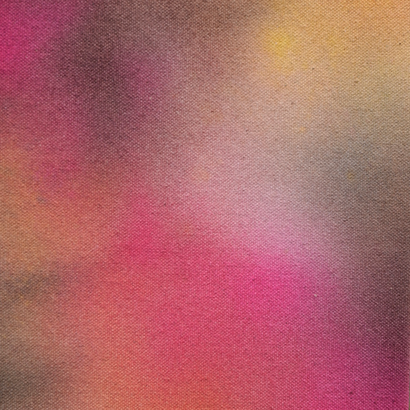 [梅花]室內藝術-粉紅花朵繪畫漸變（F-#8） 第5張的照片