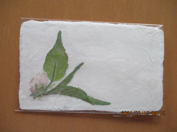 美濃和紙に押し花をアレンジしたポストカード、メッセージカード 16枚目の画像