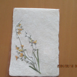 美濃和紙に押し花をアレンジしたポストカード、メッセージカード 4枚目の画像