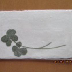 美濃和紙に押し花をアレンジしたポストカード、メッセージカード 17枚目の画像