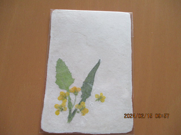 美濃和紙に押し花をアレンジしたポストカード、メッセージカード 3枚目の画像