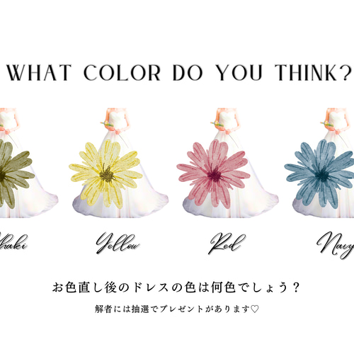 カラードレス色当て ドレス当てクイズ 説明用紙 A4サイズ ウェルカム