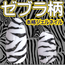 ゼブラ柄 ロングネイルチップ シマウマ 動物 アニマル 白黒 長い 長め とんがり ホワイト ブラック コスプレ 仮装 4枚目の画像