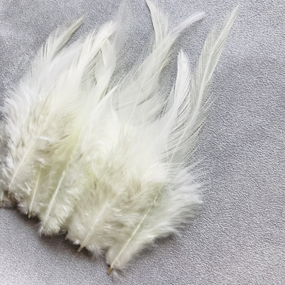 ❤️【F羽根 各色 10枚】❤️高品質❤️羽根❤️フェザー❤️ ハンドメイド❤️素材❤️鳥 パーツ　鳥の羽根 5枚目の画像