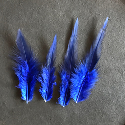 ❤️【W羽根 各色 10枚】❤️高品質 羽根 フェザー ハンドメイド 素材 鳥 パーツ　鳥の羽根 7枚目の画像