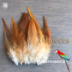 ❤️【W羽根 各色 10枚】❤️高品質 羽根 フェザー ハンドメイド 素材 鳥 パーツ　鳥の羽根 5枚目の画像