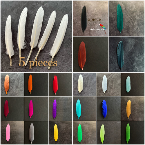 再入荷❤️【Gガチョウ小 5枚】❤️ 羽根 フェザー 鳥 羽 アクセサリー