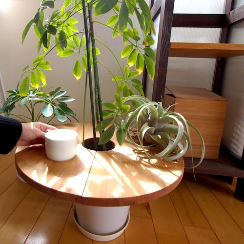 プランターテーブル 植木鉢 サイドテーブル 46 アカマツ ラウンド