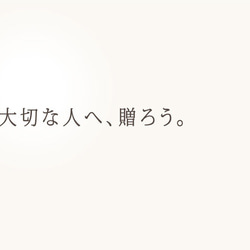 1GB 大切な思い出だけ守る小さなアクセサリー｜Chrome Gold 7枚目の画像