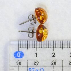 （1 件）波羅的海琥珀耳釘，10 毫米（鈦柱） 第5張的照片