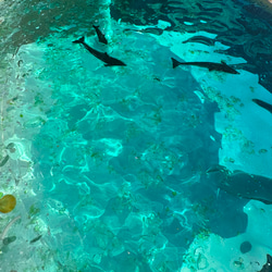 新作　ホワイトムーンビーチ イルカの親子 ガラスガラスサイドテーブル丸 〜SEA  table 5枚目の画像