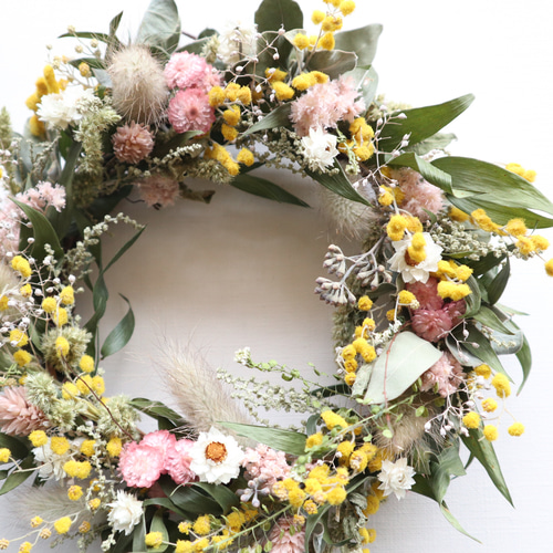 春を呼ぶミモザリース桜色