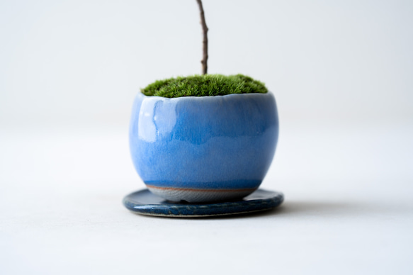 ＊開花間近＊ 桃色ユキヤナギ｜淡藤のうつわ 11枚目の画像