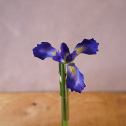 お水換え不要＊花菖蒲のウォーターアレンジ　花瓶セット　マジカルウォーター　こどもの日　端午の節句　アヤメ　アイリス 5枚目の画像