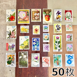 113・海外切手　花・植物セット　50枚　切手　コレクション　ヴィンテージ　海外 1枚目の画像
